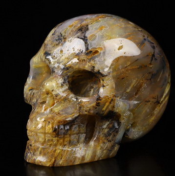 1.8" Sagenitic Agate Carved Crystal Skull,Realistic, Crystal Healing