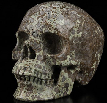 5.1" Asteroid Jasper Carved Crystal Skull,Super Realistic, Crystal Healing
