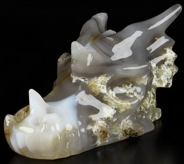 7.2" Agate Carved Crystal Dragon Skull, Crystal Healing