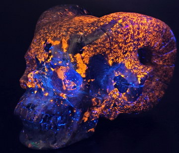 5.4" Syenite with Sodalite Carved Crystal Horned Skull, Crystal Healing