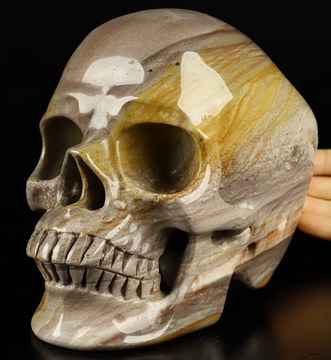 Lifesized 6.9" Polychrome Jasper Carved Crystal Skull,Super Realistic, Crystal Healing