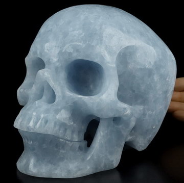 7.0" Blue Calcite Carved Crystal Skull,Super Realistic, Crystal Healing