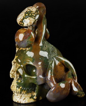 6.9" Ocean Jasper Carved Crystal Skull & Mushroom, Crystal Healing