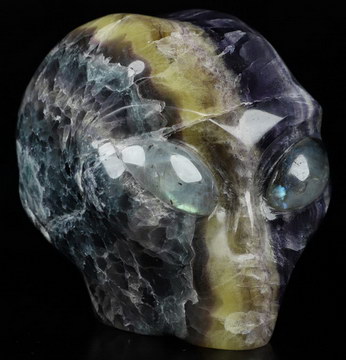 4.1" Fluorite Crystal Skull Companion Star Being Female Alien with Labradorite Eyes， Reiki Healing Stone Statue