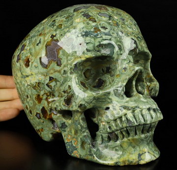 Lifesized 6.9" Rainforest Jasper Carved Crystal Skull,Super Realistic, Crystal Healing