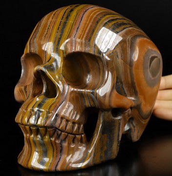 Lifesized 7.0" Colorful Tiger Iron Eye Carved Crystal Skull,Super Realistic, Crystal Healing