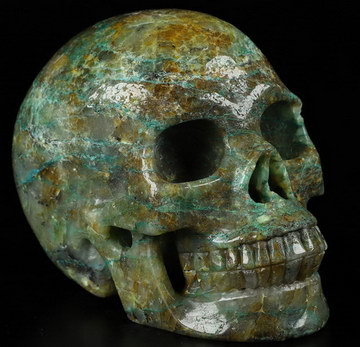 5.0" Chrysocolla Carved Crystal Skull,Realistic, Crystal Healing