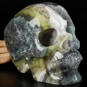 7.0" Fluorite Carved Crystal Skull,Super Realistic, Crystal Healing