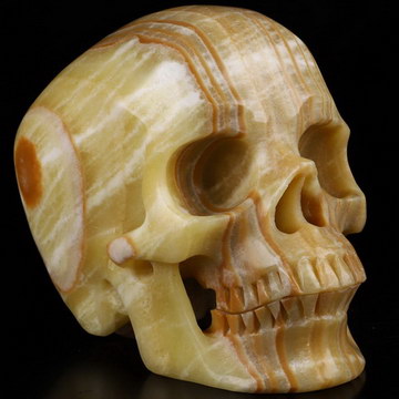 Huge 5.1" Eastern Jasper Carved Crystal Skull,Super Realistic, Crystal Healing