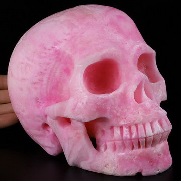 Lifesized 6.9" Pink Aragonite Carved Crystal Skull,Super Realistic, Crystal Healing