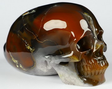5.8" Carnelian Carved Crystal Skull, Crystal Healing