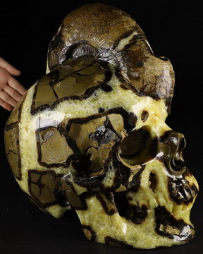 15.7" Titan 80.6LB Dragon Septarian Stone Super Realistic Carved Crystal Skull Sculpture