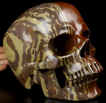 8.1" Australian Print Stone Carved Crystal Skull,Super Realistic, Crystal Healing