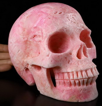 6.9" Pink Aragonite Carved Crystal Skull,Realistic, Crystal Healing