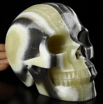 Lifesized 6.9" Zebra Calcite Carved Crystal Skull,Realistic, Crystal Healing