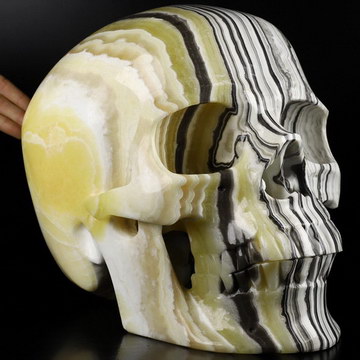 51.5LB Titan 12.6" Black and Yellow Zebra Jasper Carved Crystal Skull,Super Realistic, Crystal Healing