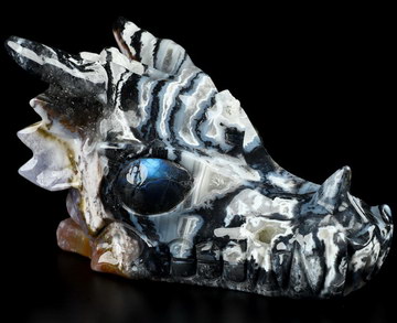 5.2" Black Zebra Agate Carved Crystal Dragon Skull with Labradorite Eyes, Crystal Healing