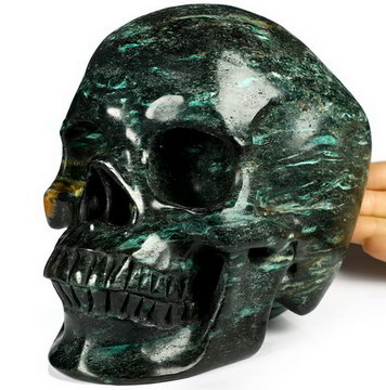 Lifesized 6.9" Chlorite Schist Carved Crystal Skull,Super Realistic, Crystal Healing