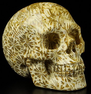2.0" Coral Fossil Carved Crystal skull,Realistic, Crystal Healing
