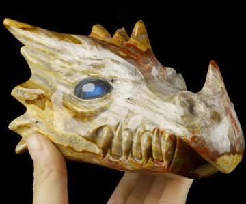 6.2" Petrified Wood Carved Crystal Dragon Head Skull, Crystal Healing