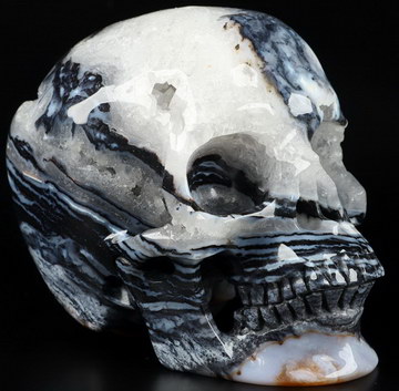 5.1" Black Zebra Agate Carved Crystal Skull,Super Realistic, Crystal Healing