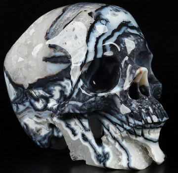 5.1" Black Zebra Agate Carved Crystal Skull,Super Realistic, Crystal Healing