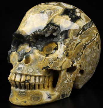 5.0" Ocean Jasper Carved Crystal Skull,Realistic, Crystal Healing