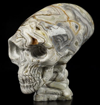3.6" Crazy Lace Agate Carved Crystal Elongated Mayan Alien Skull & Spine, Crystal Healing