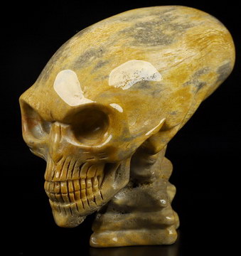 3.6" Petrified Wood Carved Crystal Elongated Mayan Alien Skull & Spine, Crystal Healing