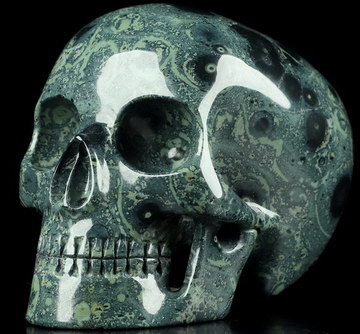 5.1" Kambaba Jasper Carved Crystal MH Skull Replicas, Crystal Healing