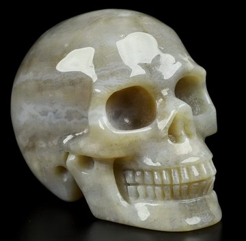 2.5" Coral Fossil Hand Carved Crystal Skull, Realistic, Crystal Healing