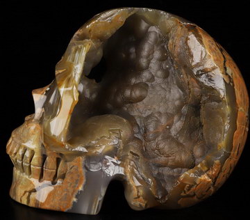 5.0" Dinosaur Egg Agate Hand Carved Crystal Skull, Realistic, Crystal Healing