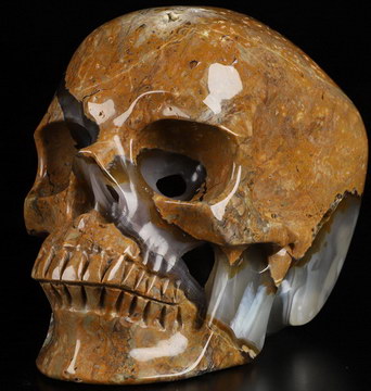 Super Realistic! Lifesized 6.5" Dinosaur Egg Agate Hand Carved Crystal Skull, Crystal Healing
