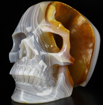 Super Realistic! Lifesized 8.0" Agate Hand Carved Crystal Skull, Crystal Healing