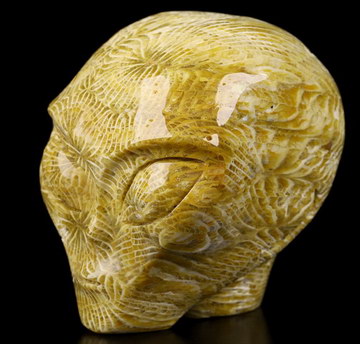 2.0" Coral Fossil Star Being Female Alien Crystal Skull Companion With  Eyes, Hand Carved Gemstone Fine Art Sculpture, Reiki Healing Stone Statue