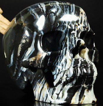 51LB Titan 13.2" Black Zebra Agate Hand Carved Crystal Skull, Crystal Healing