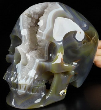 Super Realistic! Lifesized 6.9