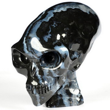 3.6" Black Zebra Agate Hand Carved Crystal Elongated Mayan Alien Skull Sculpture, Crystal Healing