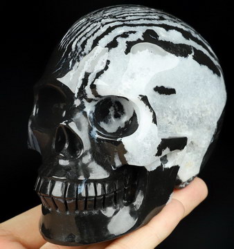 3.9" Black Zebra Agate Hand Carved Crystal Skull, Realistic, Crystal Healing