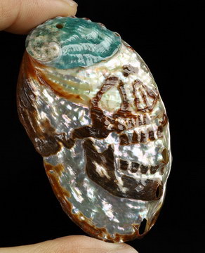 2.5" Shell Hand Carved Crystal Skull Fine Art Sculpture, Crystal Healing