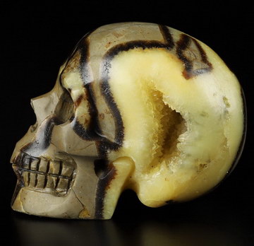 2.0" Dragon Septarian Stone Geode Hand Carved Crystal Skull, Realistic, Crystal Healing