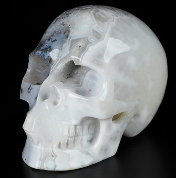 3.5" Sagenitic Japser Hand Carved Crystal Skull, Realistic, Crystal Healing
