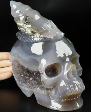 6.3" Agate Amethyst Geode Hand Carved Crystal Skull and Snail Fine Art Sculpture, Crystal Healing