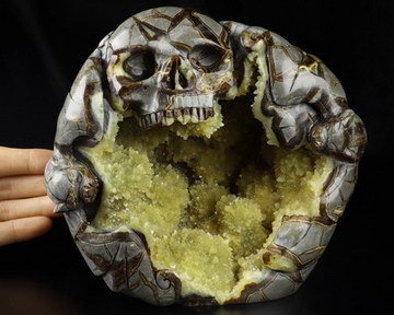 GEODE 6.3" Dragon Septarian Stone Carved Crystal Skull, Crystal Healing