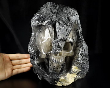 Feb 7, 2015 ACSAD (A Crystal Skull a Day) - The Champion of Fortitude - Black Tourmaline Crystal with Quartz Carved Crystal Skull Sculpture