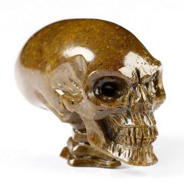1.7" Dinosaur Sauropoda Bone Fossil Hand Carved Crystal Elongated Mayan Alien Skull with Spine Sculpture, Crystal Healing