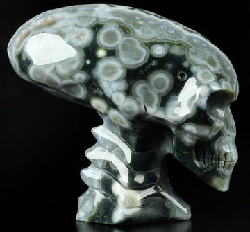3.5" Ocean Jasper Hand Carved Crystal Elongated Mayan Alien Skull with Spine Sculpture, Crystal Healing