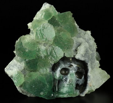 6.7" Fluorite Hand Carved Crystal Skull Fine Art Sculpture, Crystal Healing