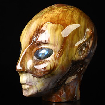 4.1" Petrified Wood Hand Carved Fairy Elf Alien Crystal Skull Companion With Labradorite Eyes, Hand Carved Gemstone Fine Art Sculpture, Reiki Healing Stone Statue