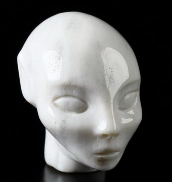 1.1" Petrified Wood Hand Carved Fairy Elf Alien Crystal Skull Companion Sculpture, Crystal Healing